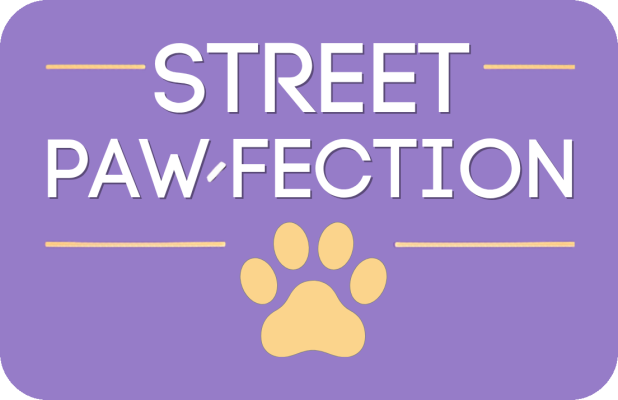 Street Pawfection